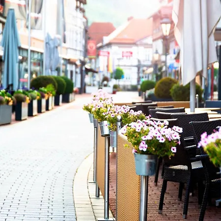 Holiday park Landal Salztal Paradies Bad Sachsa